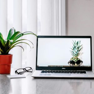 A stylish workspace featuring a laptop, plant, and smartphone on a desk.